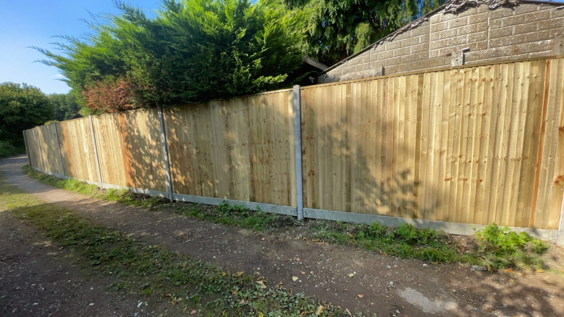 Premium timber fence in landscaped Surrey garden